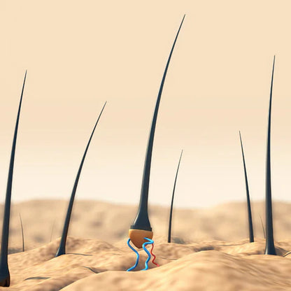 Rivaaj mahal Organic Hair Oil & Shampoo Organic Hair problem Solution